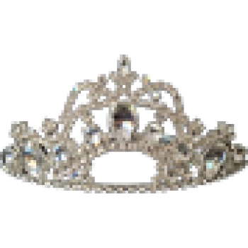 Rhinestone Headbands & Tiaras
